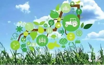 正在发生的“互联网+农业” 是通往繁荣的高速路，还是等待填平的深坑？——以“小哥到家”为例的冷思考